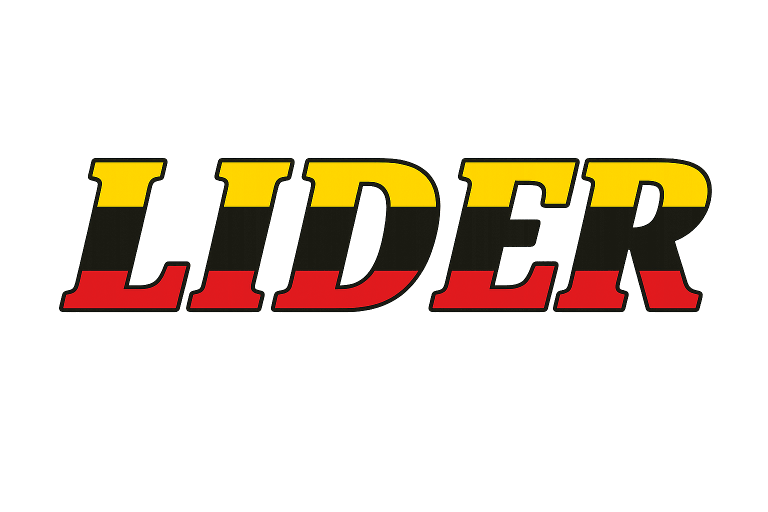 Portal Lider
